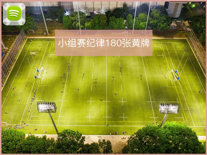 小组赛纪律180张黄牌